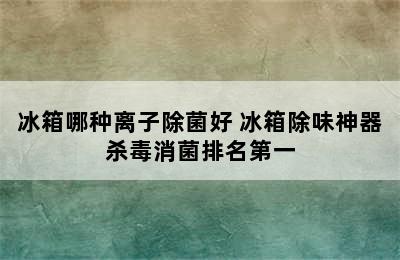 冰箱哪种离子除菌好 冰箱除味神器杀毒消菌排名第一